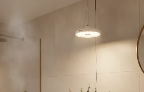 garder plante salle bain fenetre